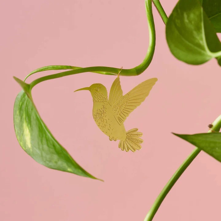 imgi_26_Hummingbird-Plant-Animal-3-Another-Studio-WEB_720x