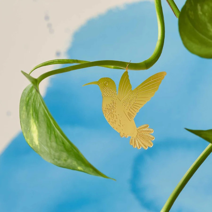 imgi_23_Hummingbird-Plant-Animal-1-Another-Studio-WEB_900x (1)