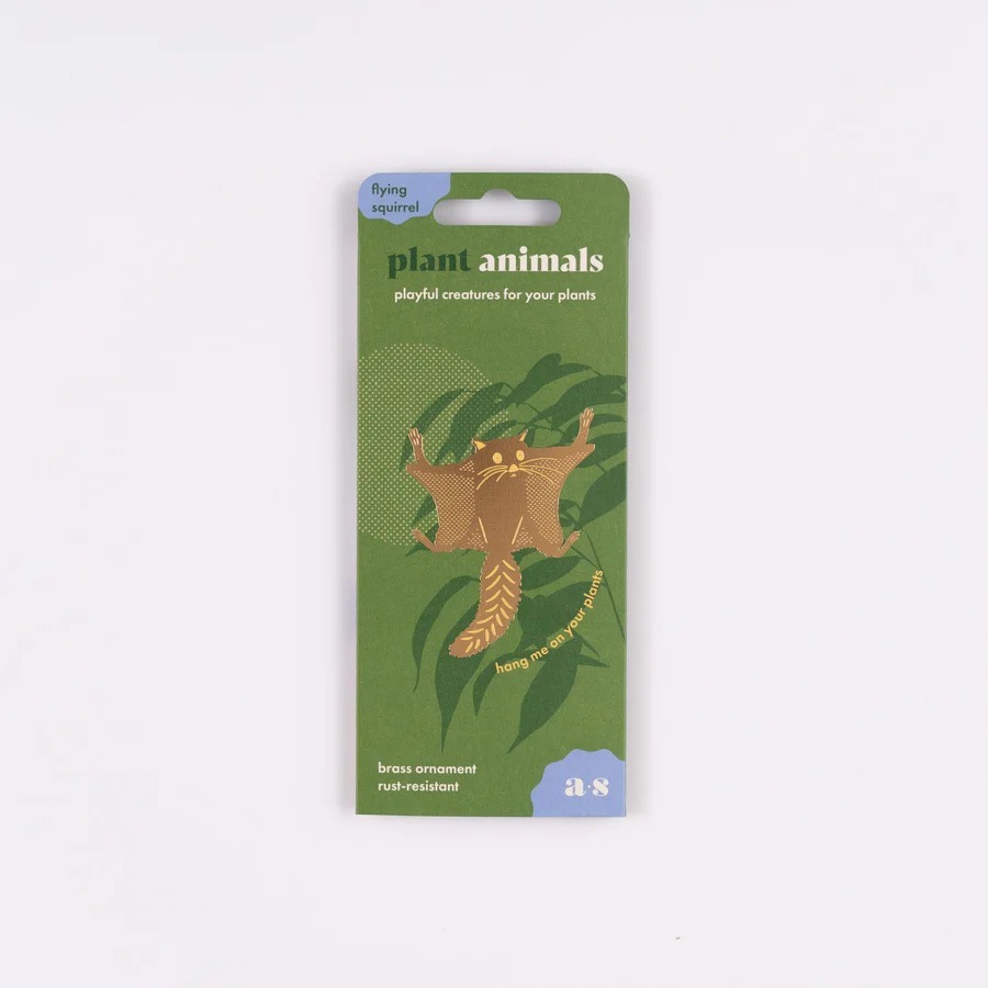 imgi_21_Plant_Animal_Flying_Squirrel_900x