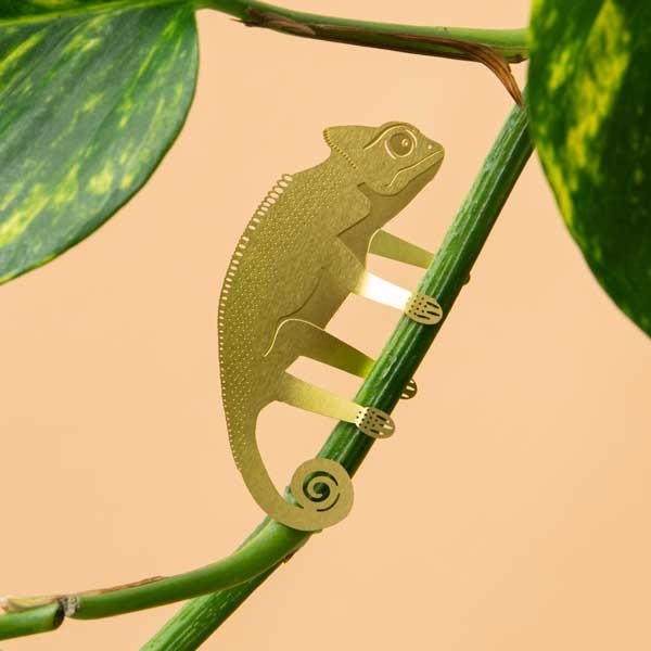 imgi_20_Plant-Animal-Chameleon-houseplant-deco_900x