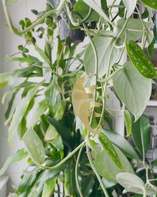 imgi_19_19e7de92d3e54316bab21314c712ff1d.thumbnail.0000000000_540x