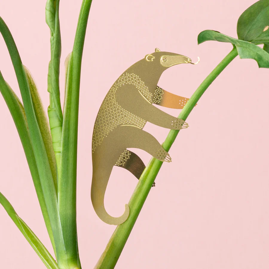 imgi_18_anteater-plant-animal-decoration-plant-gift-another-studio_900x