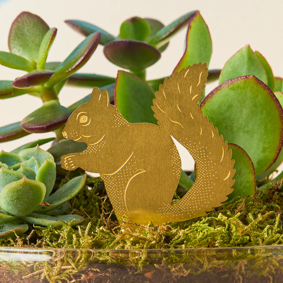 imgi_19_squirrel-plant-animal-decoration-plant-gift-another-studio_900x (1)