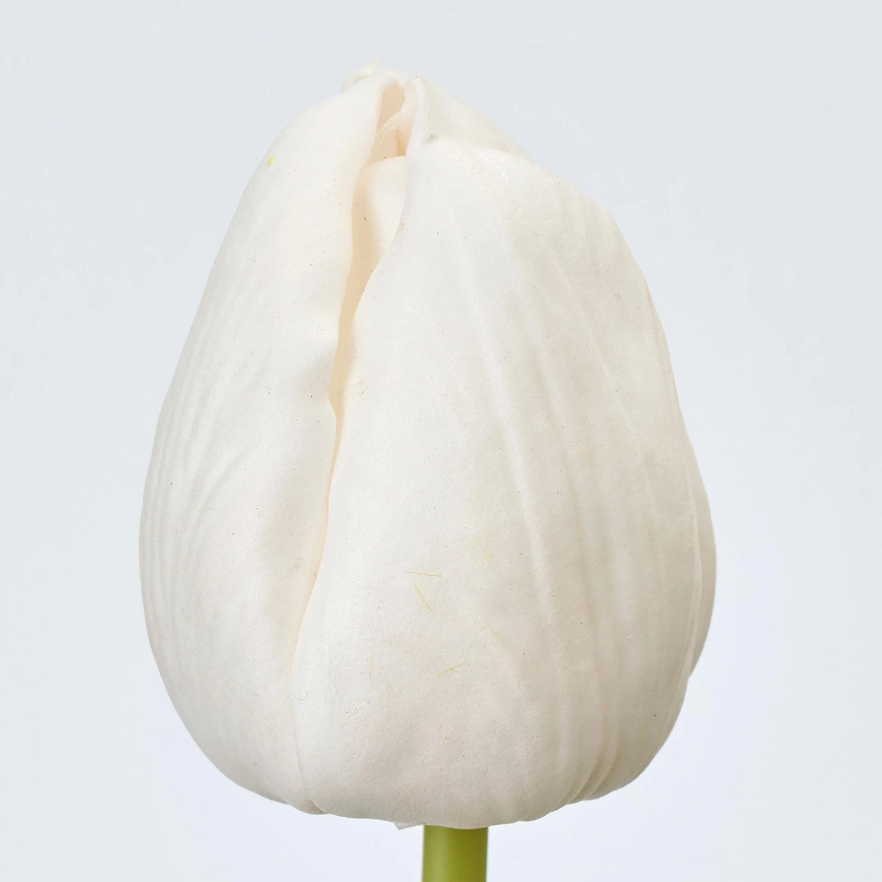 imgi_39_4967116966643a