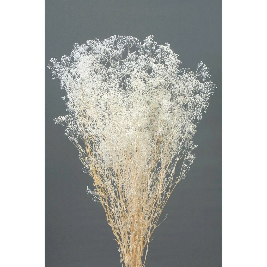 9ae8b5f1cd9169c51afe499989841f4c