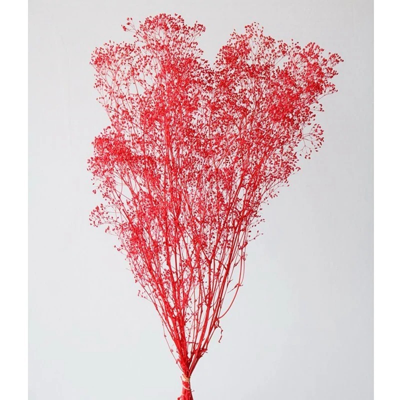 imgi_11_0000000157152_pPKUm9R