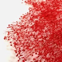 imgi_20_000000015715_2_64mB01x_thumb