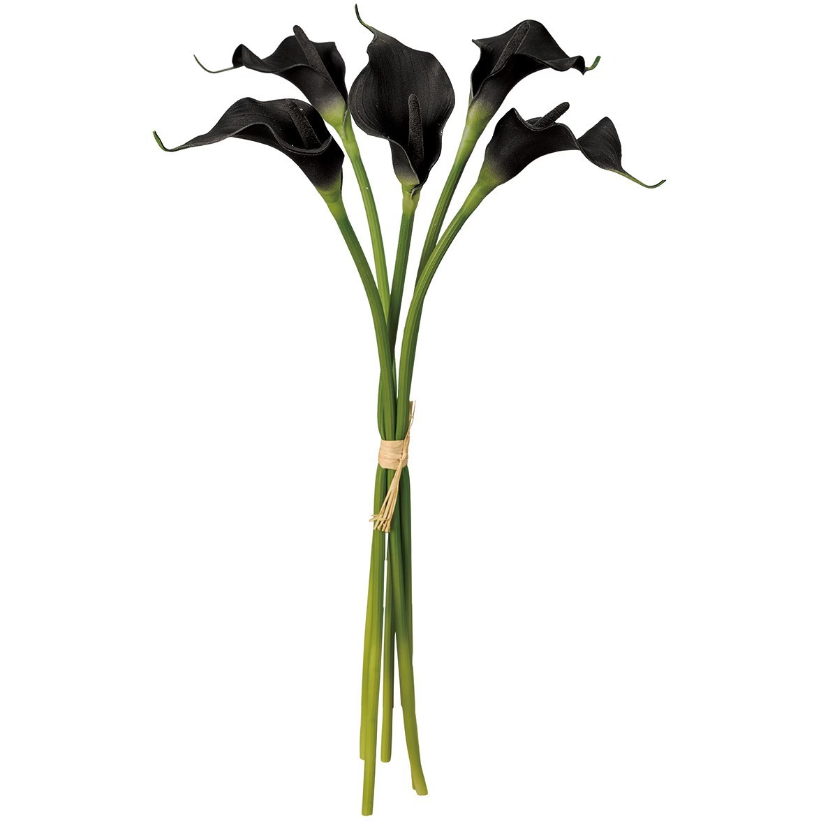 imgi_133_mono53179430-240126-02