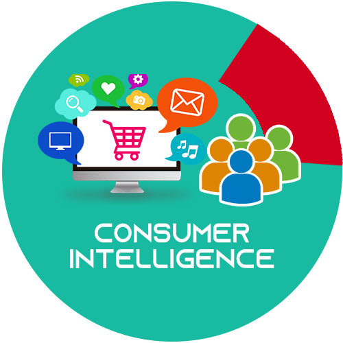 services-icon-consumer-intelligence