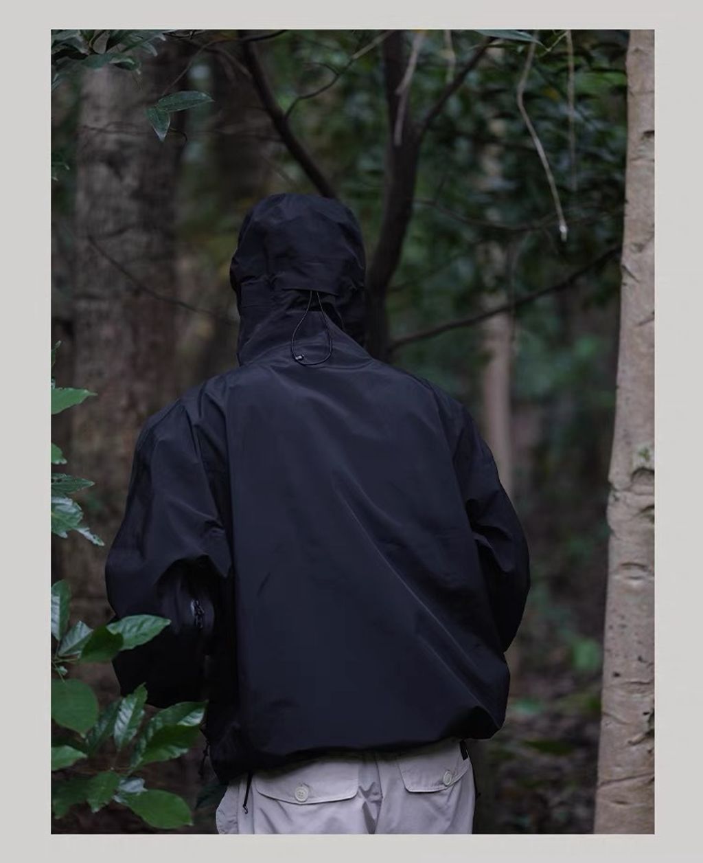 IMG_0322-1700472936612