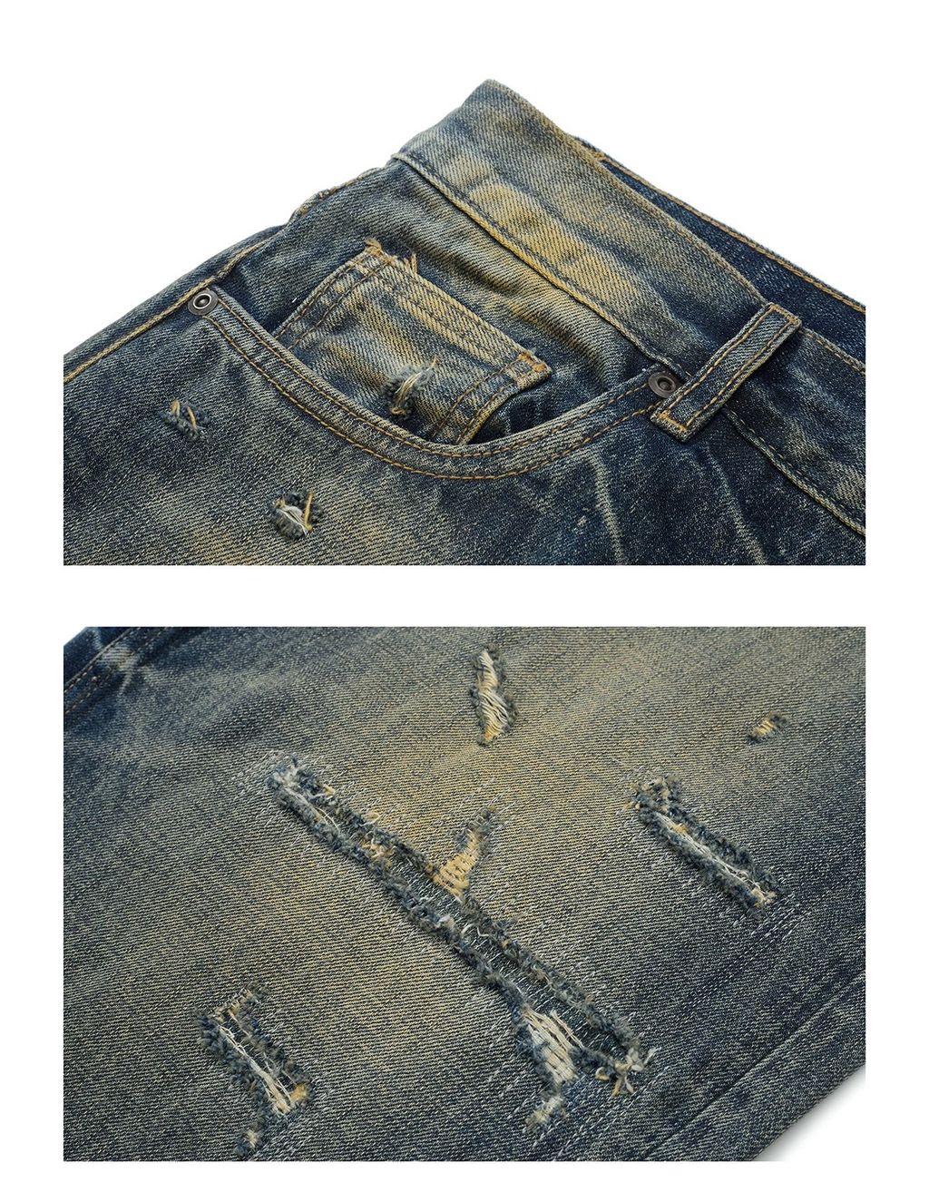 IMG_8439-1730021344462