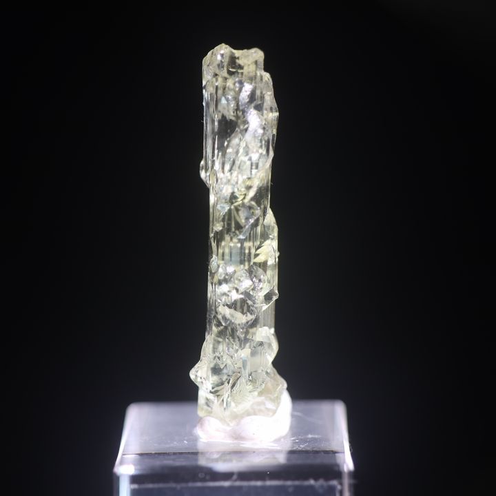 IMG_4447