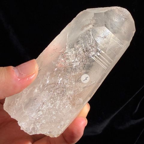 IMG_1243