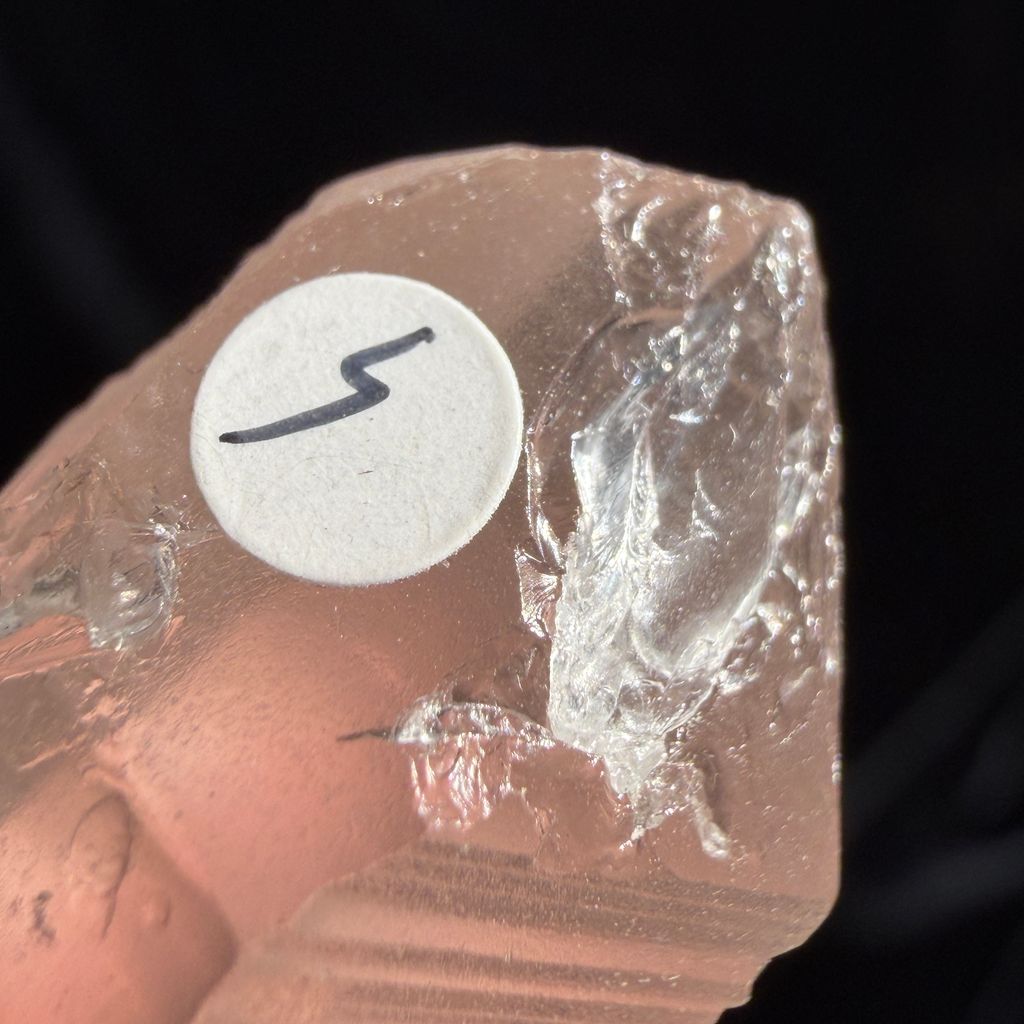 IMG_1355