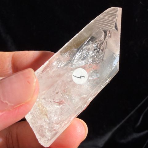 IMG_1396