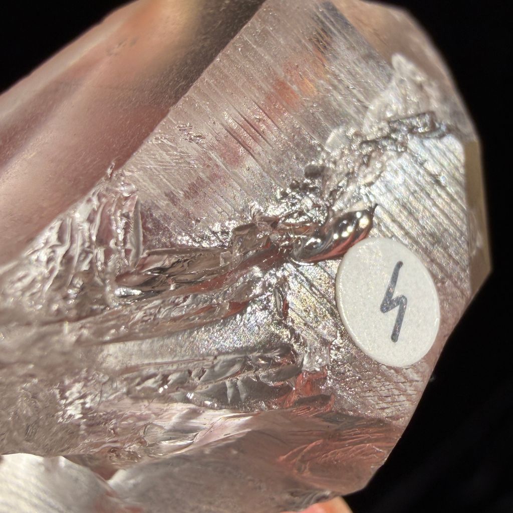IMG_1794