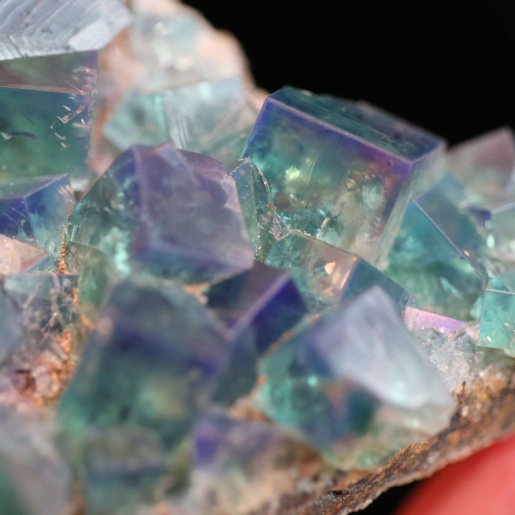 IMG_5706