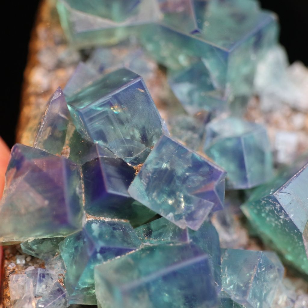 IMG_5708