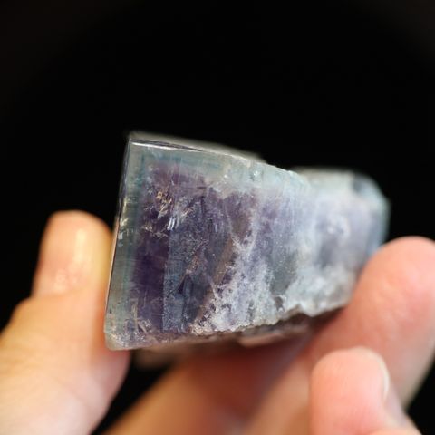 IMG_5794