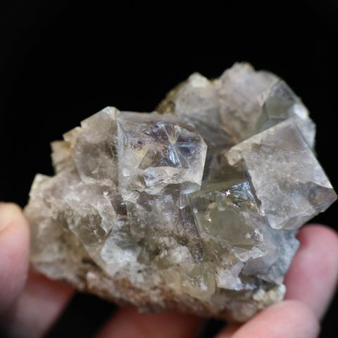IMG_5938