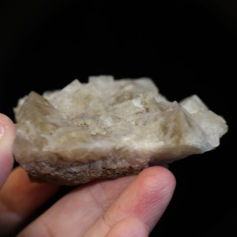 IMG_6384