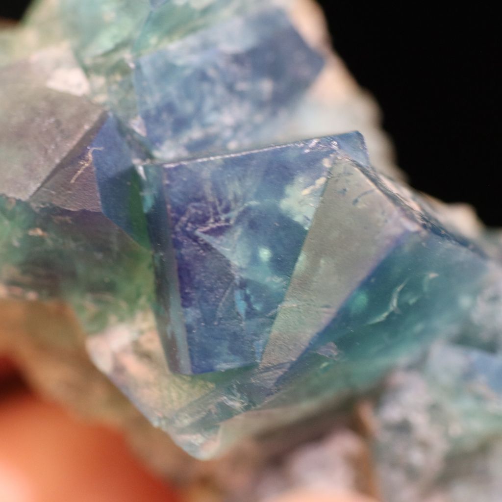 IMG_6399