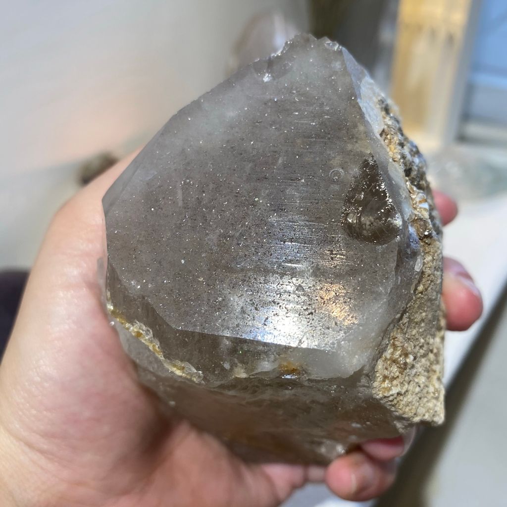巴基斯坦茶黃骨幹 21E2101 559.8g $2100 (3).JPEG