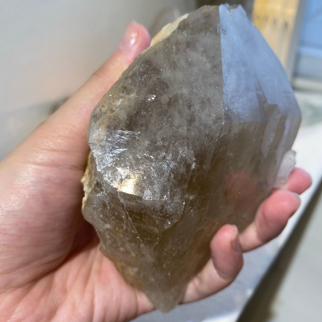 巴基斯坦茶黃骨幹 21E2101 559.8g $2100 (5).JPEG