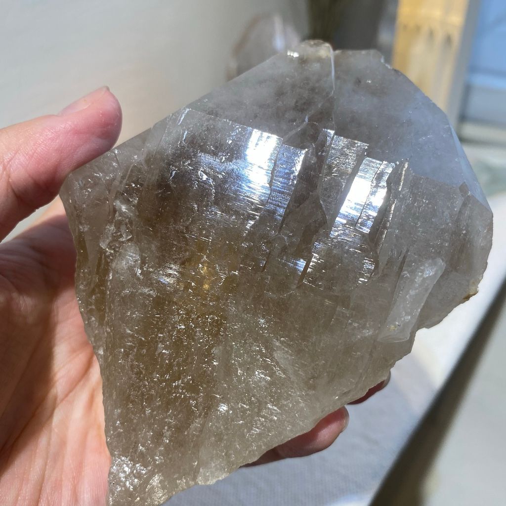 巴基斯坦茶黃骨幹 21E2101 559.8g $2100 (7).JPEG