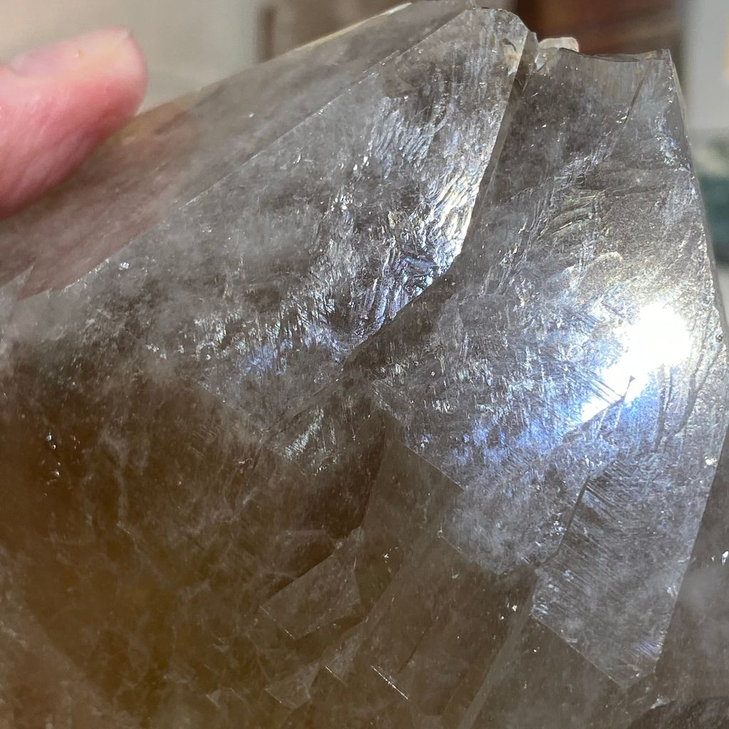 巴基斯坦茶黃骨幹 21E2101 559.8g $2100 (8).JPEG