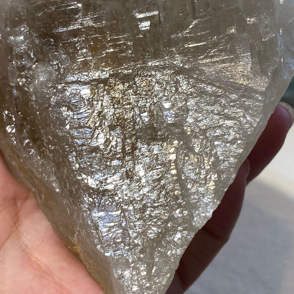 巴基斯坦茶黃骨幹 21E2101 559.8g $2100 (10).JPEG