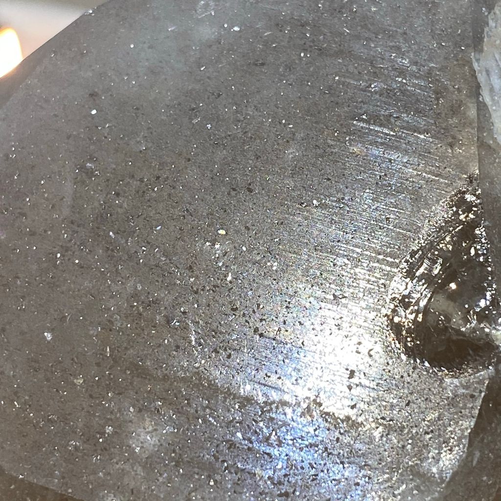 巴基斯坦茶黃骨幹 21E2101 559.8g $2100 (11).JPEG