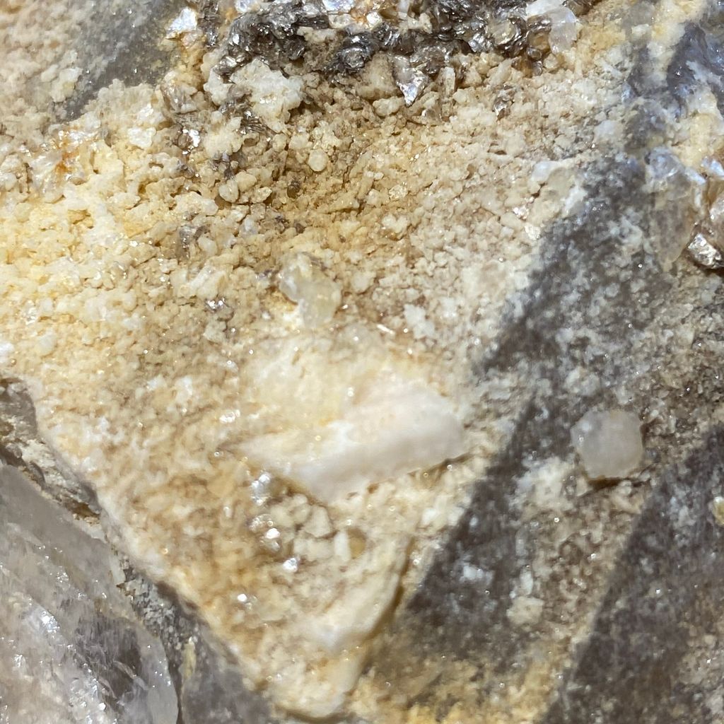 巴基斯坦茶黃骨幹 21E2101 559.8g $2100 (13).JPEG
