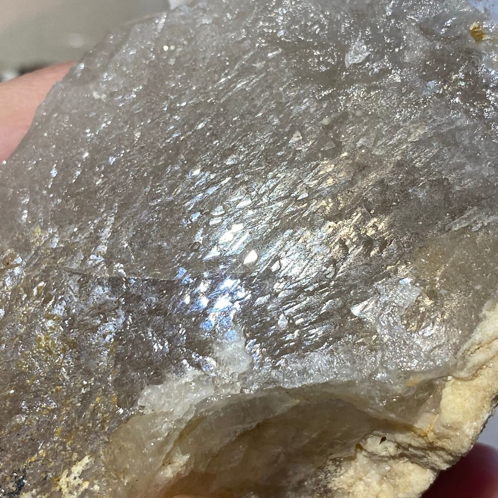 巴基斯坦茶黃骨幹 21E2101 559.8g $2100 (17).JPEG