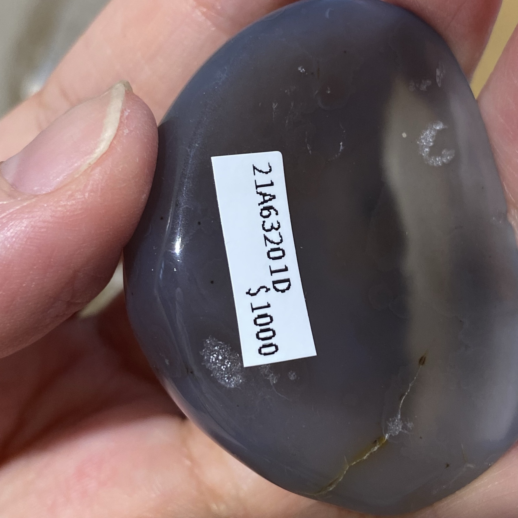 瑪瑙置物 Minelab Vanquish 440 Metal Detector - Colonial Metal Detectors