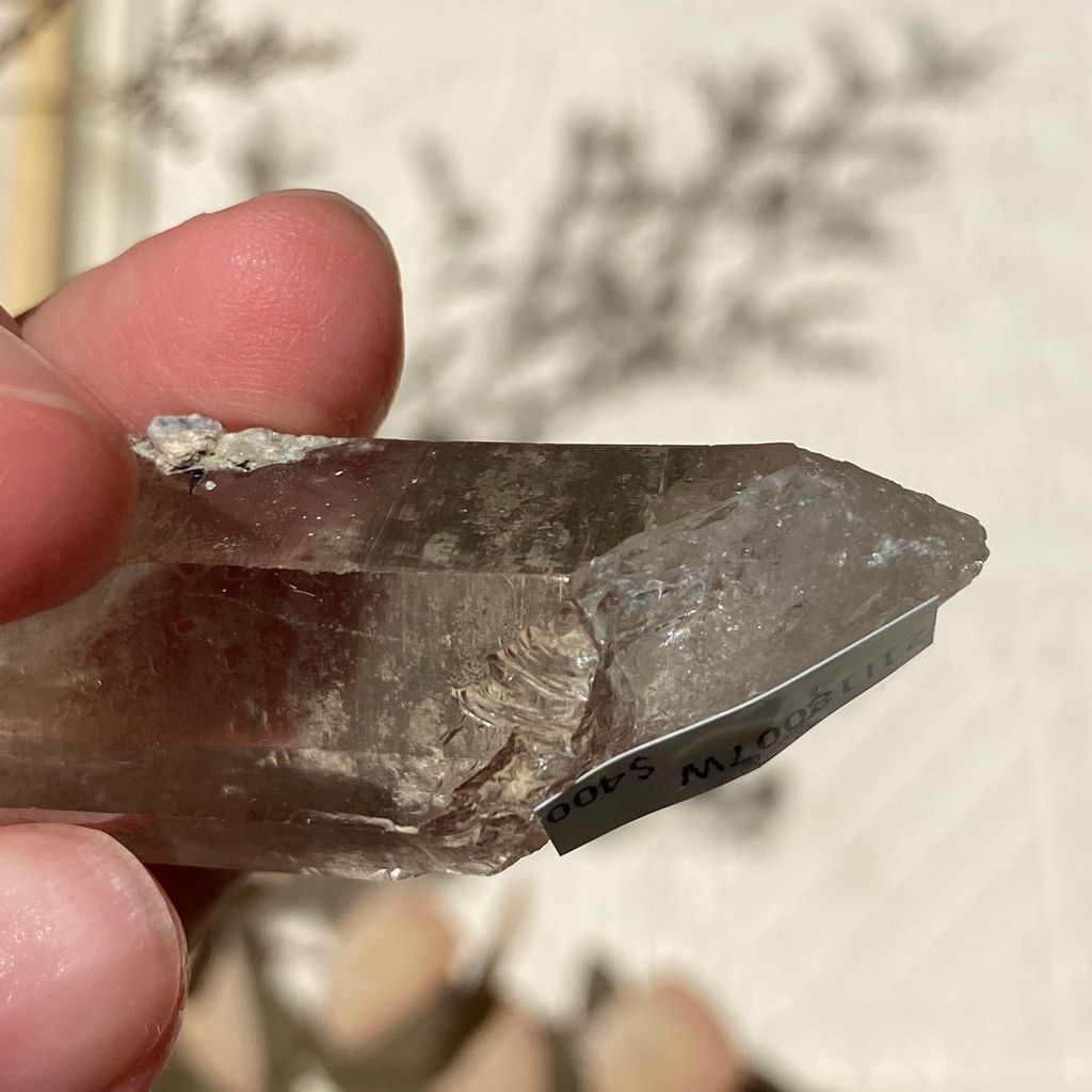 21I18007W 喜瑪拉雅白水晶(印度礦脈)茶幽 27.3g $400(10).JPEG