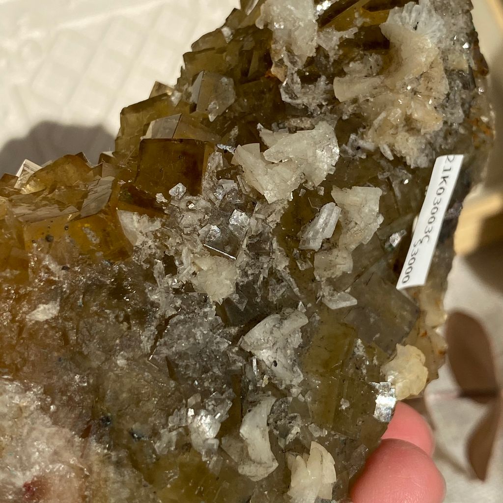 21K03003C 西班牙黃螢石 282.8g $3000(10).JPEG