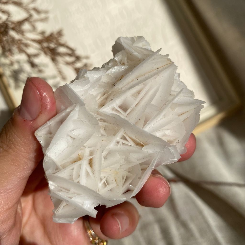 21K17002B 白花瓣方解石 35.4g $650(1).JPEG