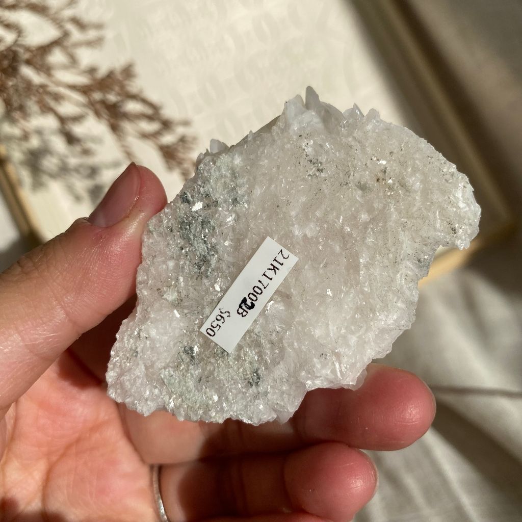 21K17002B 白花瓣方解石 35.4g $650(4).JPEG
