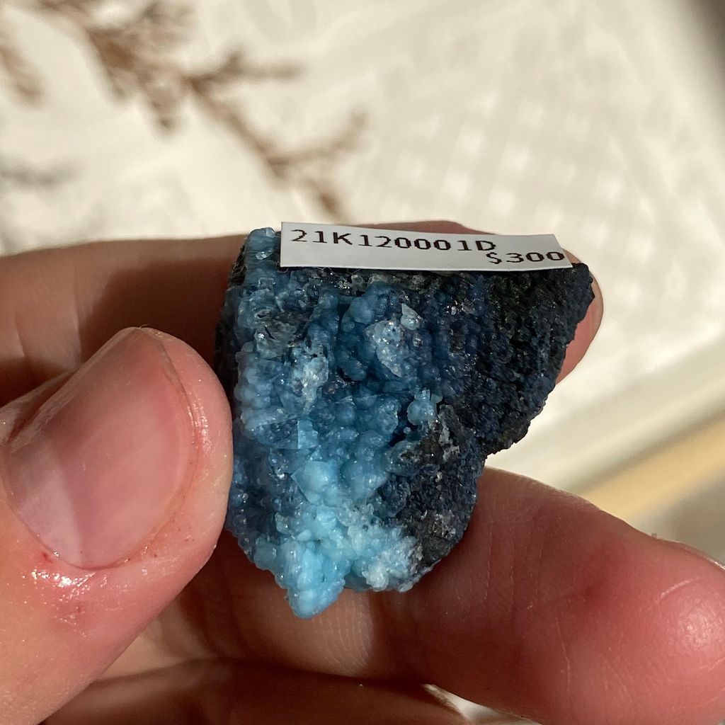 21K120001D 4.9g 雲南藍色三水鋁石 $300(3).JPEG