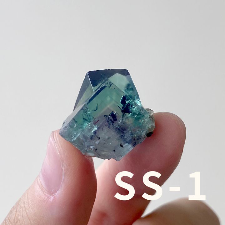 SS (1)