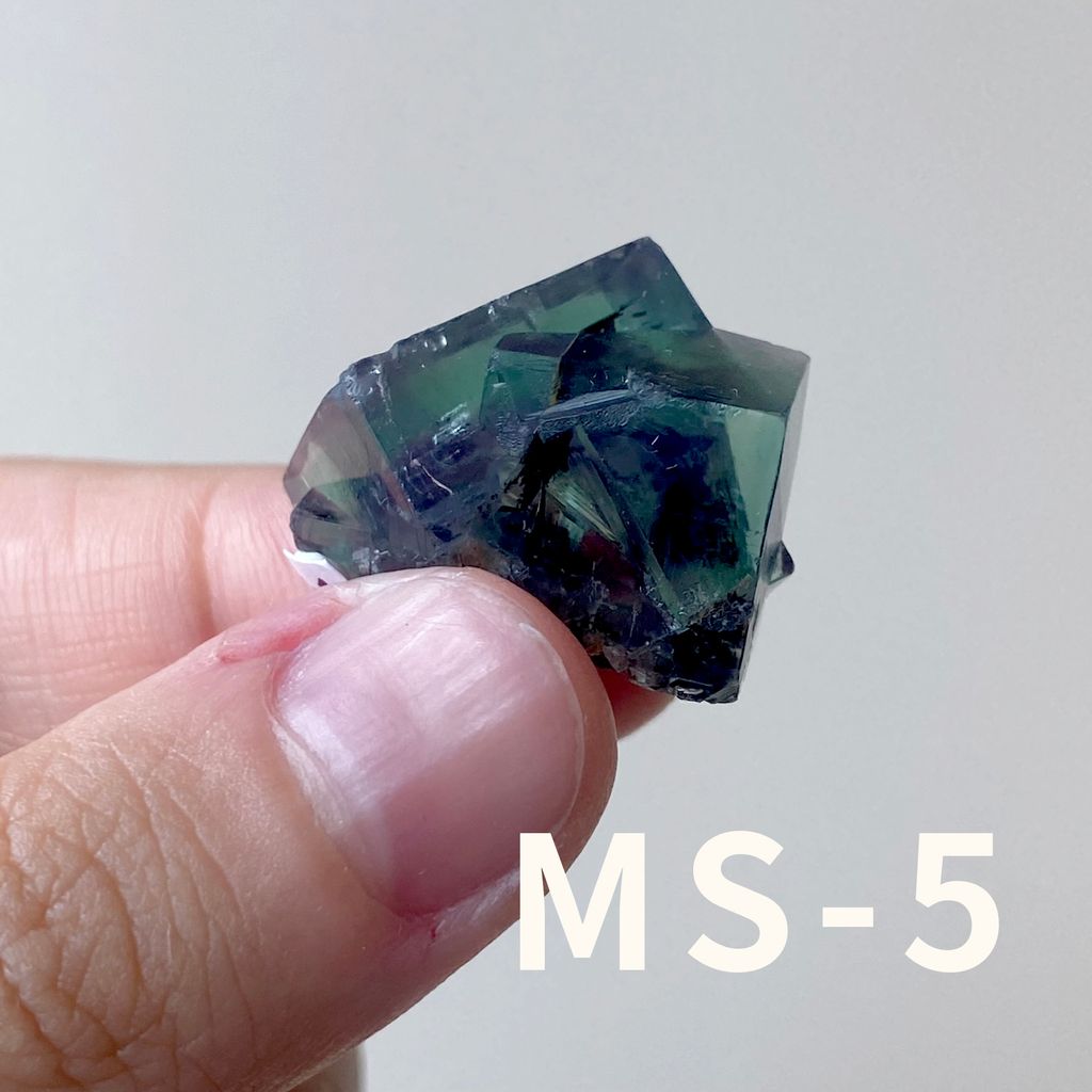 MS (5)