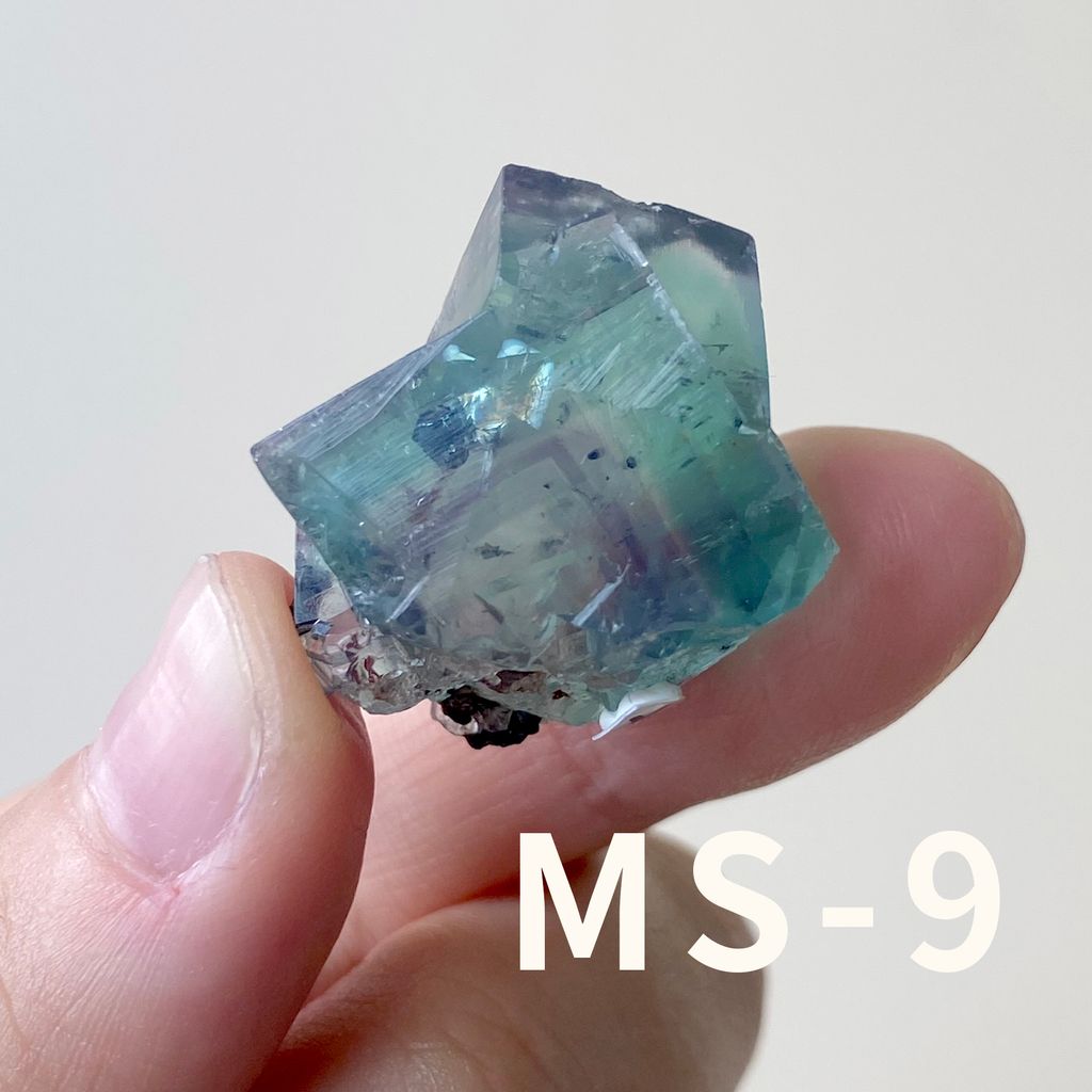 MS (9)