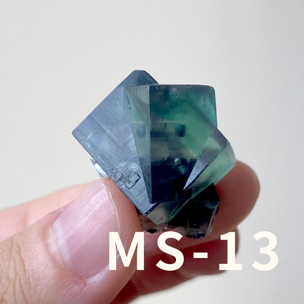 MS (13)