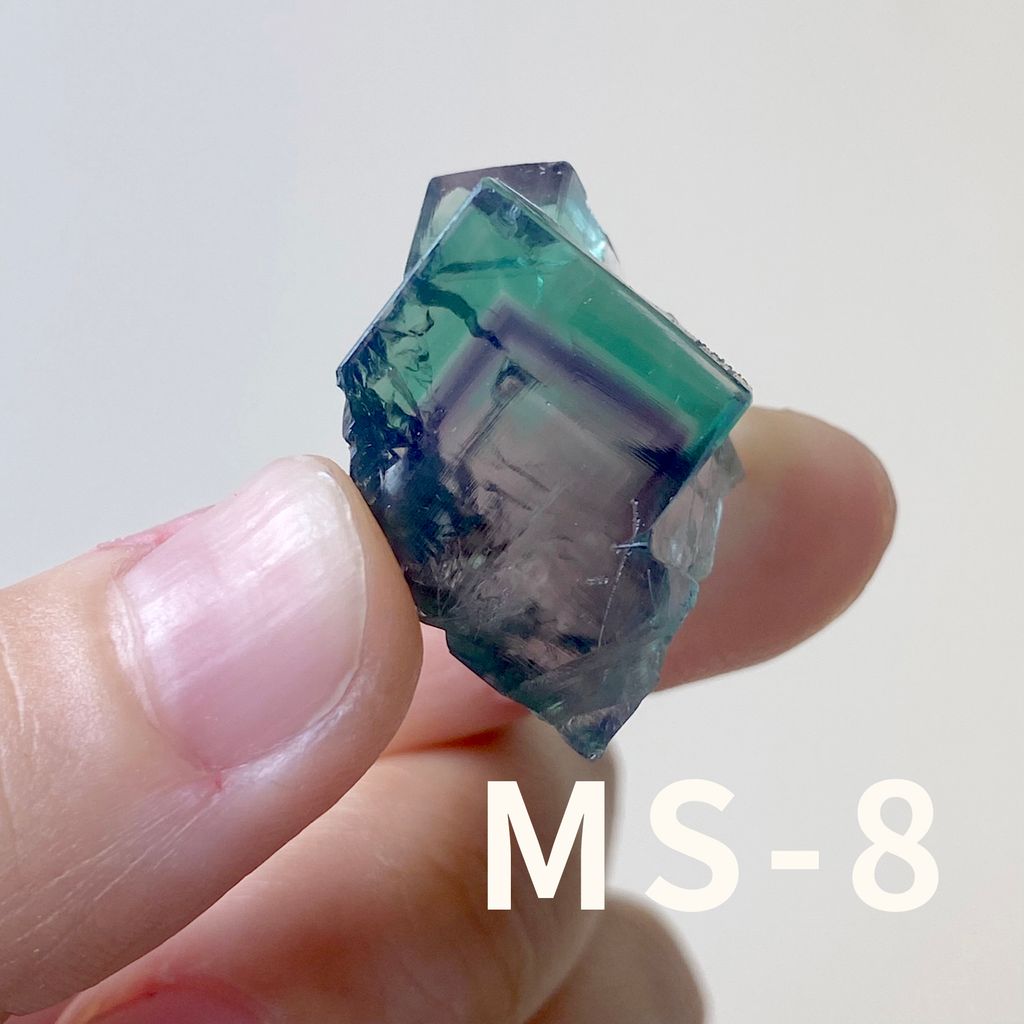 MS (8)