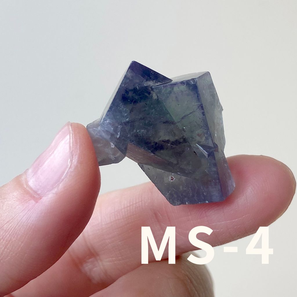 MS (4)