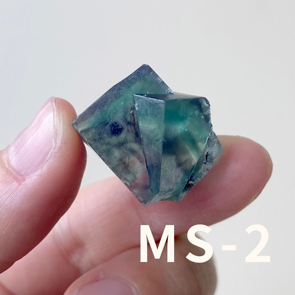 MS (2)