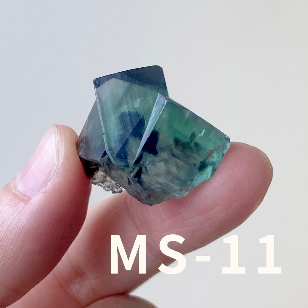 MS (11)