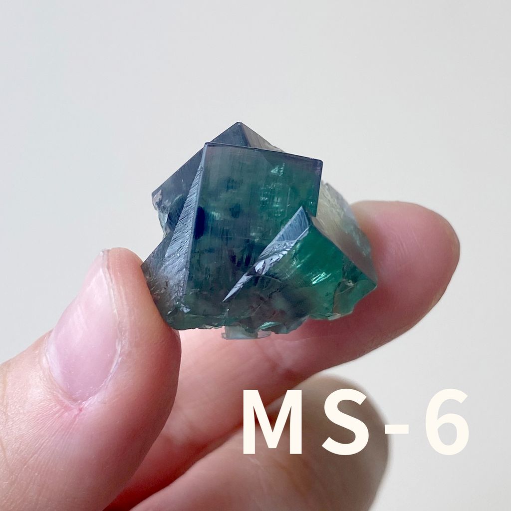 MS (6)