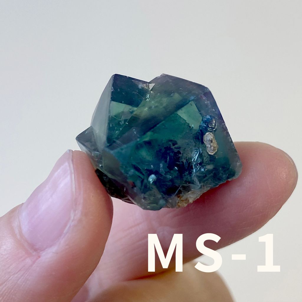MS (1)